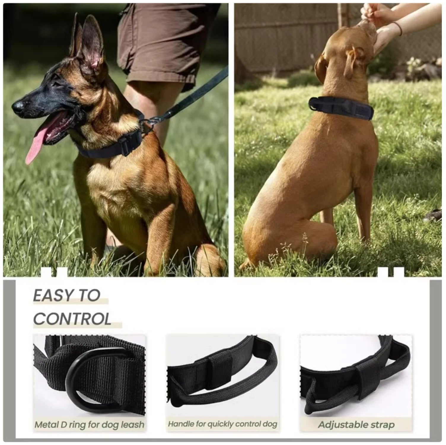 2-In-1 Dog Collar with Retractable Leash for Walking & Training
