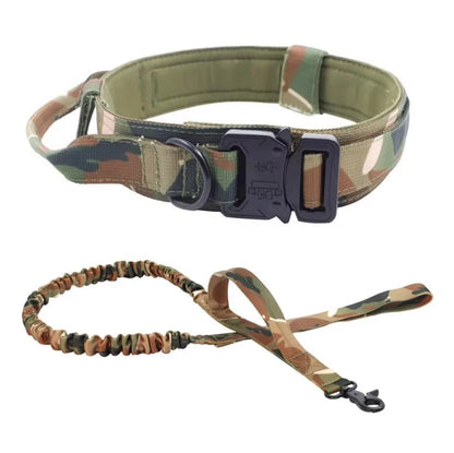 2-In-1 Dog Collar with Retractable Leash for Walking & Training