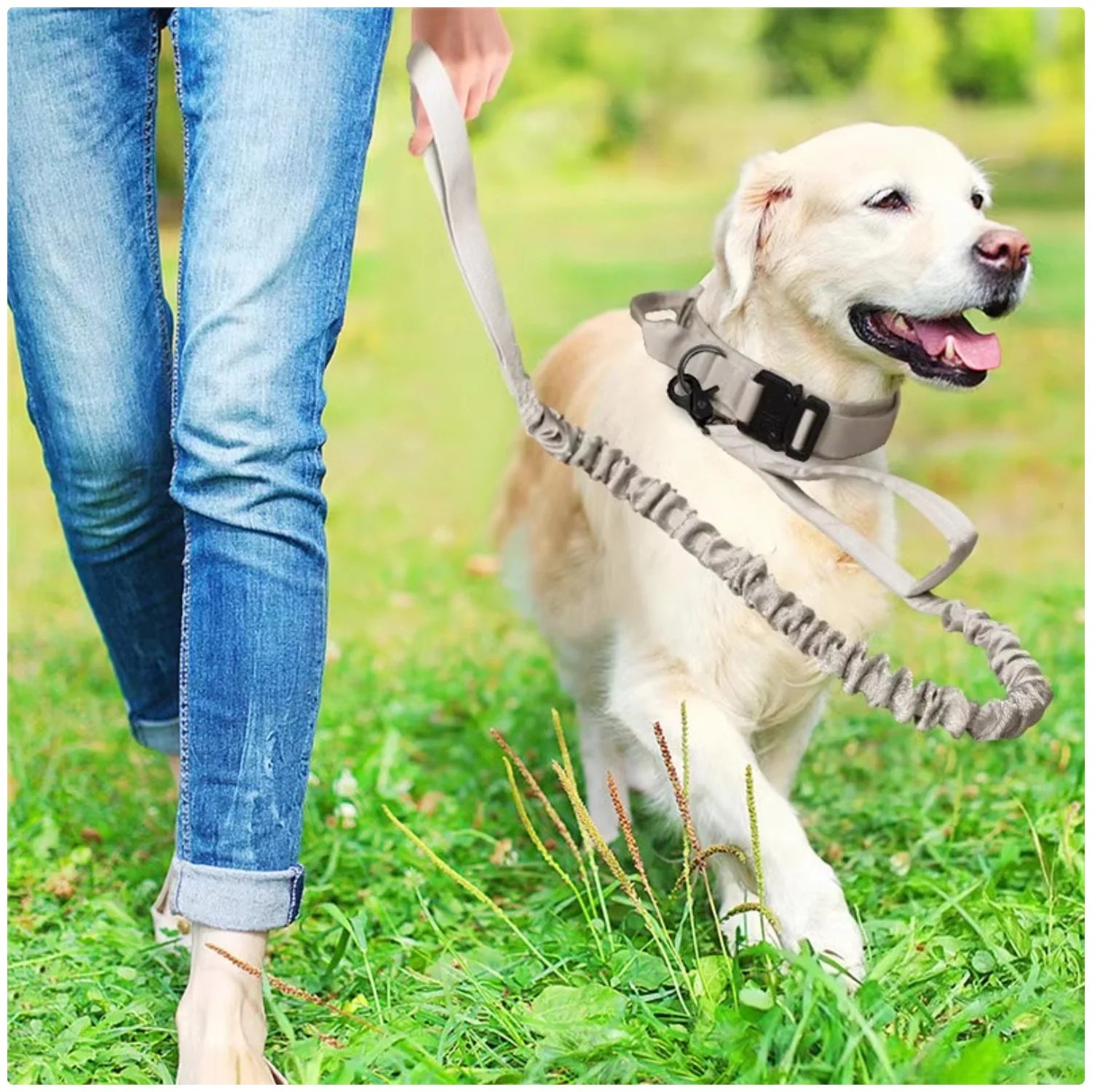 2-In-1 Dog Collar with Retractable Leash for Walking & Training